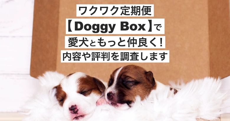 ワクワク定期便【Doggy box】TOP