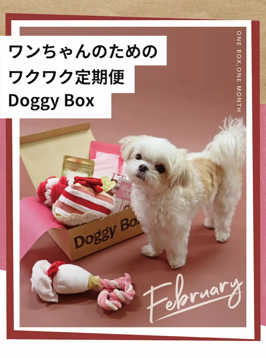 ワンちゃんのための定期便【Doggy Box】
