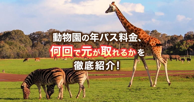 【2024年】動物園の年パス料金情報