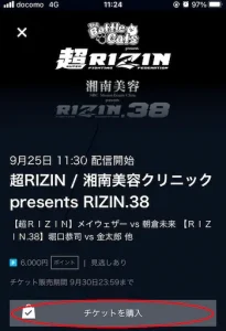 「超RIZIN」U-NEXT視聴方法