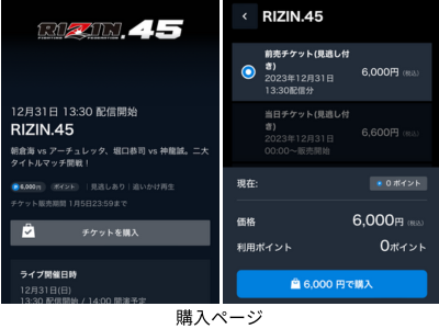RIZIN45対戦カード